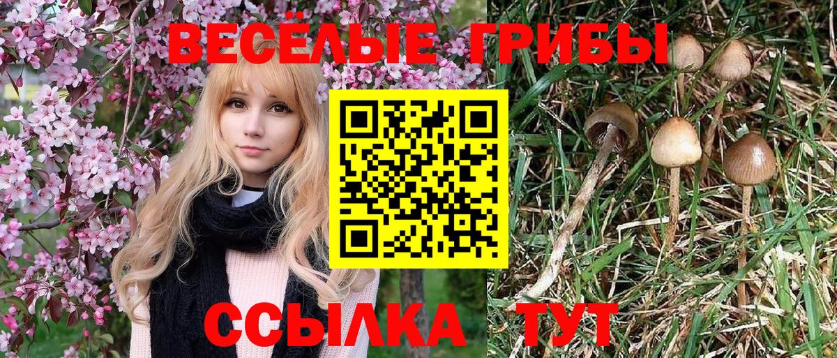 что такое   Вход с VPN  Санкт-Петербург  Галлюциногенные грибы ЛСД  Галлюциногенные грибы прущие грибы 